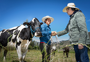 FONCREAGRO - ganaderos