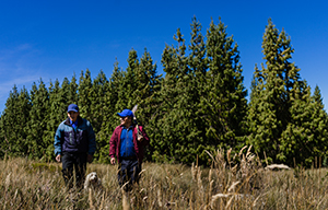FONCREAGRO - Huella Verde