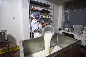 FONCREAGRO - Sistemas familires - leche